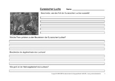 Luchs-Fragen-3.pdf